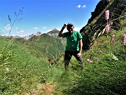 Bocchetta di Budria-Monte Azzaredo ad anello fiorito-10lu22 - FOTOGALLERY